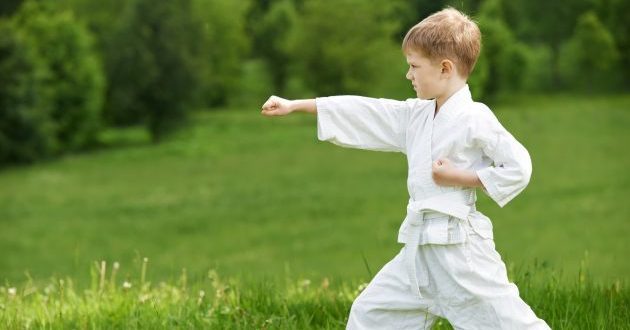 Sportvereine: Karate