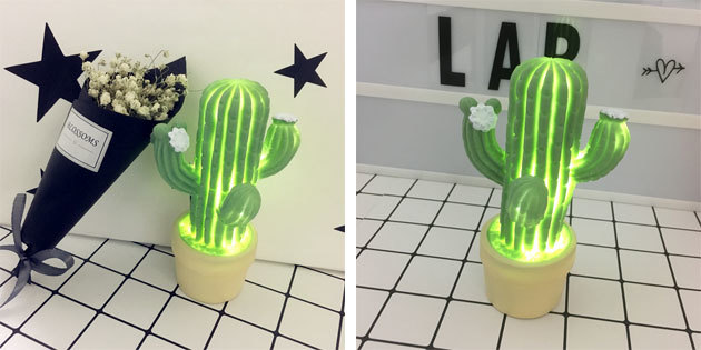 Die Lampe in der Form eines Kaktus