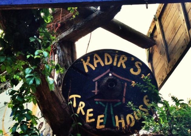 Kadir des Tree House 2