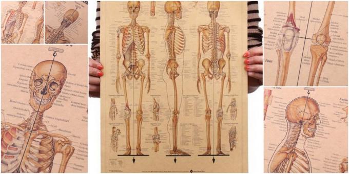 Plakat „Skeleton Mann“