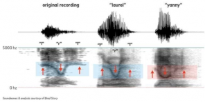 Yanni oder Laurel? Es zeigte sich, das Geheimnis audioillyuzii, durch die der Streit das gesamte Internet hat