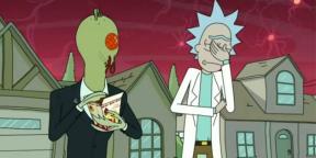 Wie Szechuan Sauce kochen, „Rick und Morty“