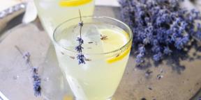 15 Rezepte für selbstgemachte Limonade, dass Geschmack des Speichers