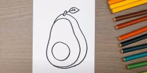 Wie man eine Avocado zeichnet: 26 coole Optionen