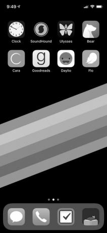 iPhone Schwarz-Weiß-Bildschirm