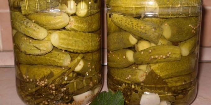 Pickles mit Senf und Meerrettich