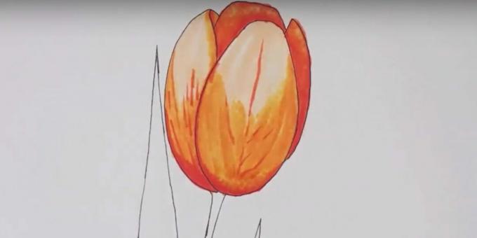 So zeichnen Sie eine Tulpe: Gehen Sie mit einem farblosen Marker über die Zeichnung