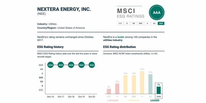 ESG-Rating und seine Dynamik für NextEra Energy, $ NEE, Mai 2021.