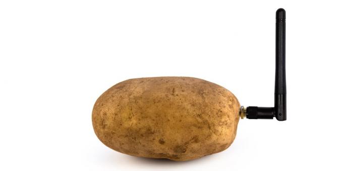CES 2020: Intelligente Kartoffel