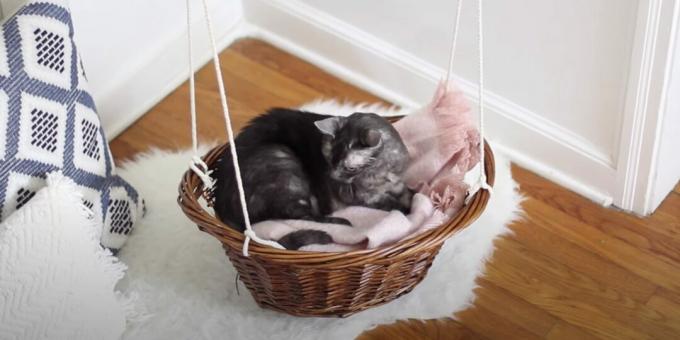 Wie man aus einem Korb ein Hängemattenbett für eine Katze macht
