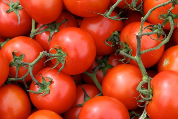 nützliche Produkte: Tomaten