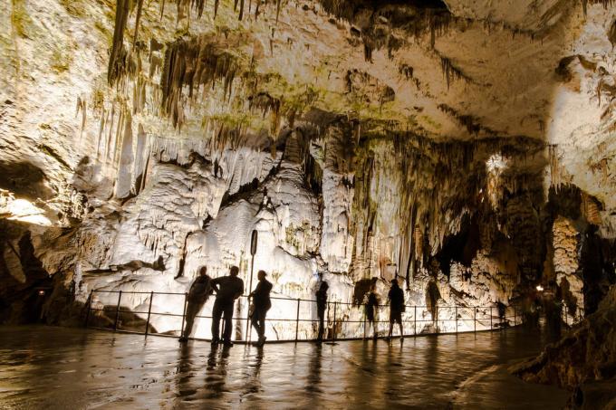 Cave Höhle von Postojna