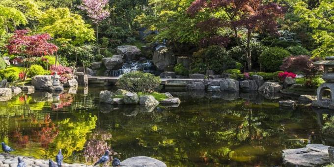 Japanischen Kyoto Garden in Holland Park: Was in London zu sehen