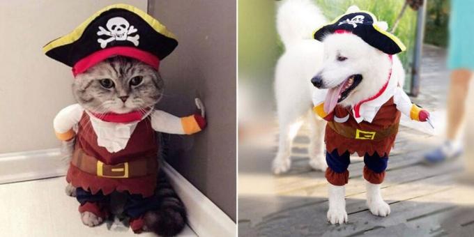 Weihnachten Kostüme für Hunde und Katzen: Fluffy Pirat