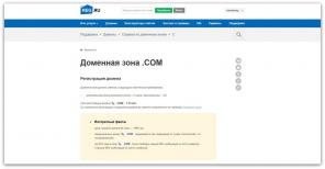 Wie eine Domain registrieren: detaillierte Anweisungen