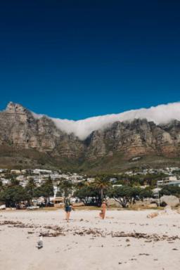 Spaziergang mit Pinguinen und Weinprobe: Was es in Kapstadt zu sehen und wohin man gehen sollte