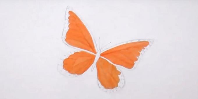 Zeichnen Sie Kreise an den Rand des unteren Flügels und eine orangefarbene Markierung Highlight Details