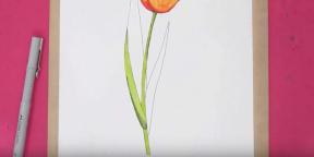 15 Möglichkeiten, schöne Tulpen zu zeichnen