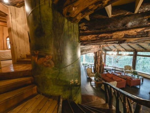 Hotel Magic Mountain Hotel befindet sich in den chilenischen geschützten Wäldern
