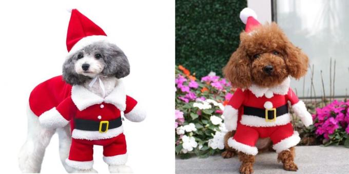 Weihnachten Kostüme für Hunde Sankt woofing