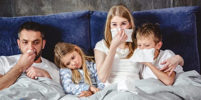 Schutz vor Erkältungen und Grippe
