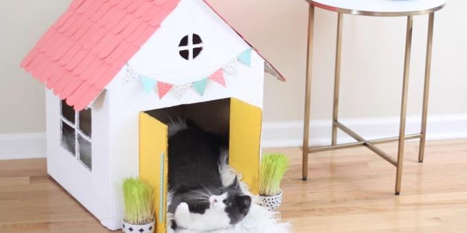 Wie macht man ein einstöckiges Haus für eine Katze mit seinen eigenen Händen: hängen Flaggen und Türgriffe