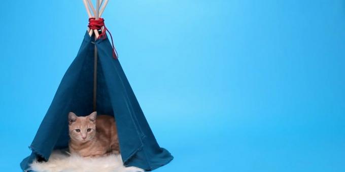 Wie man ein Haus-Zelt für eine Katze der Schienen machen und den Stoff mit den Händen
