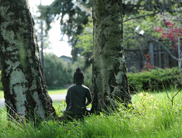 Angststörung kann durch Meditation überwunden werden
