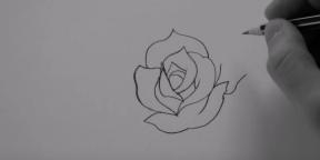 Wie eine Rose von 20 verschiedenen Arten zeichnen