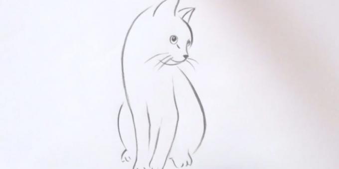 Wie eine Katze sitzt in einem realistischen Stil zeichnen