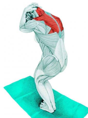 Anatomie des Dehnens: der Hals in einer stehenden Position Stretching