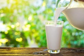 Wo tut Milch: Wahrheit und Mythen über seine Produktion