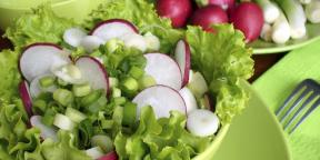 10 ist sehr einfach Salat mit Radieschen