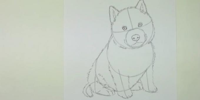 Zeichnen Sie einen Hund shorstku