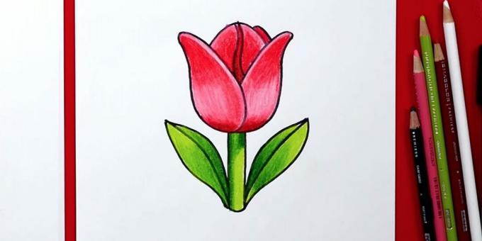 Wie zeichnet man eine einfache Tulpe