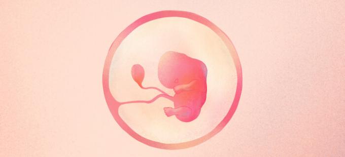Wie sieht ein Baby in der 9. Schwangerschaftswoche aus?