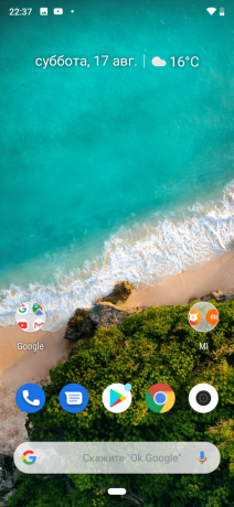 Xiaomi Mi A3: Schnittstelle