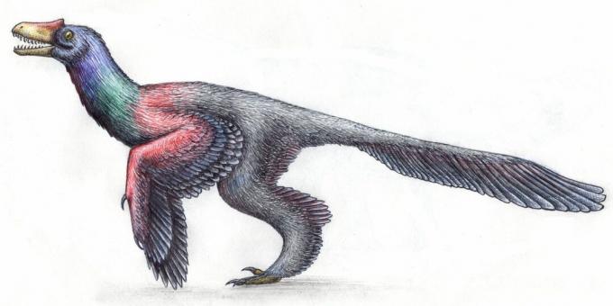 Alte Mythen: Dinosaurier sahen aus wie Reptilien