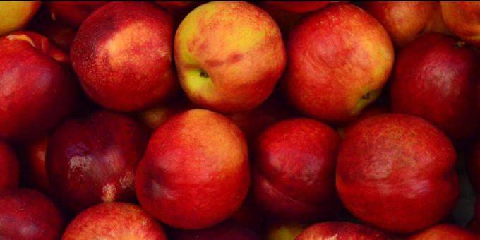 Wie Pfirsichen und Nektarinen wählen