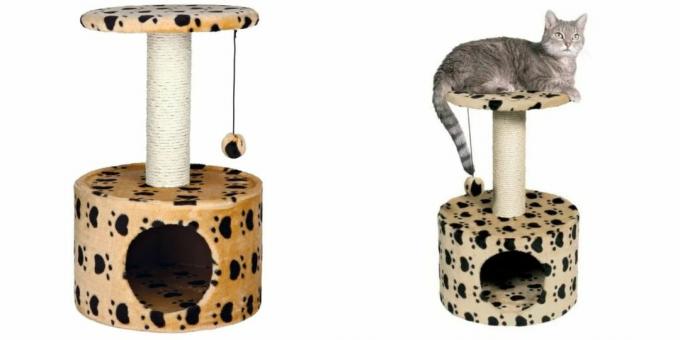 Häuser für Katzen: mit einem Spielzeug und einem Kratzbaum
