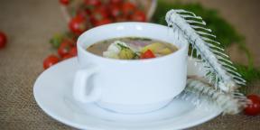 10 Rezepte für Suppe aus einem Hecht, Karpfen, Barsch, Lachs, und nicht nur