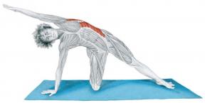Anatomie in Bildern Stretching: Übungen für Körper Muskeln