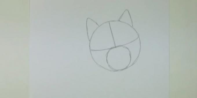 Zeichnen Sie einen Kreis und markieren Sie die kleineren Ohren