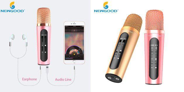 Mikrofon für Karaoke