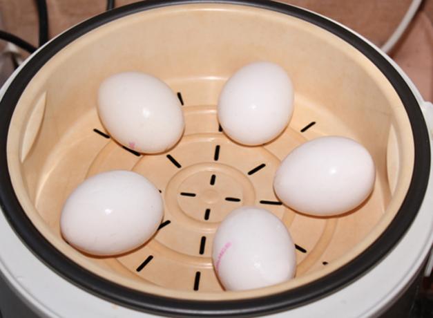 Wie die Eier im Wasserbad oder multivarka kochen
