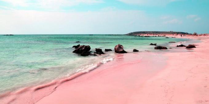 Erstaunlich schöner Ort: ein rosaer Strand in Sardinien, Italien