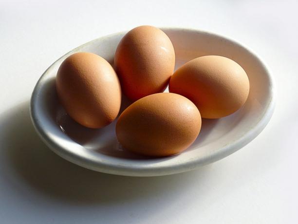 Proteinquellen: Eier