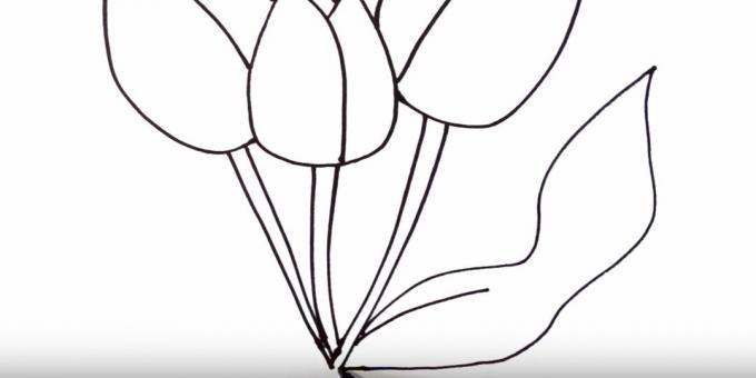 So zeichnen Sie eine Tulpe: Stellen Sie das rechte Blatt dar
