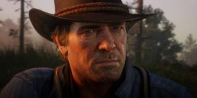 Tipps für Anfänger: Red Dead Redemption 2 Wie zu spielen