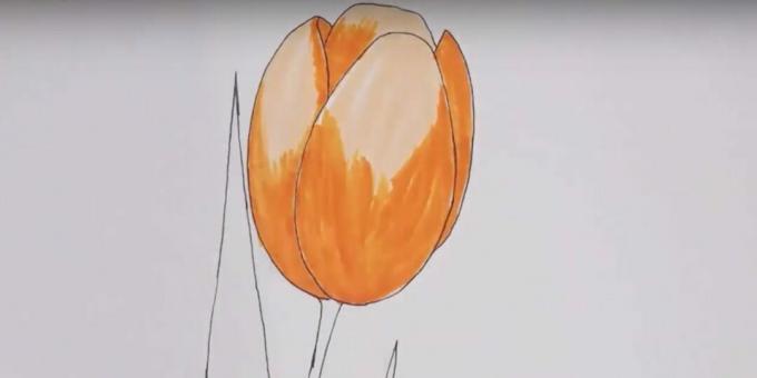 So zeichnen Sie eine Tulpe: Malen Sie die Knospe orange